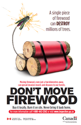 A single piece of wood can destroy millions of trees.