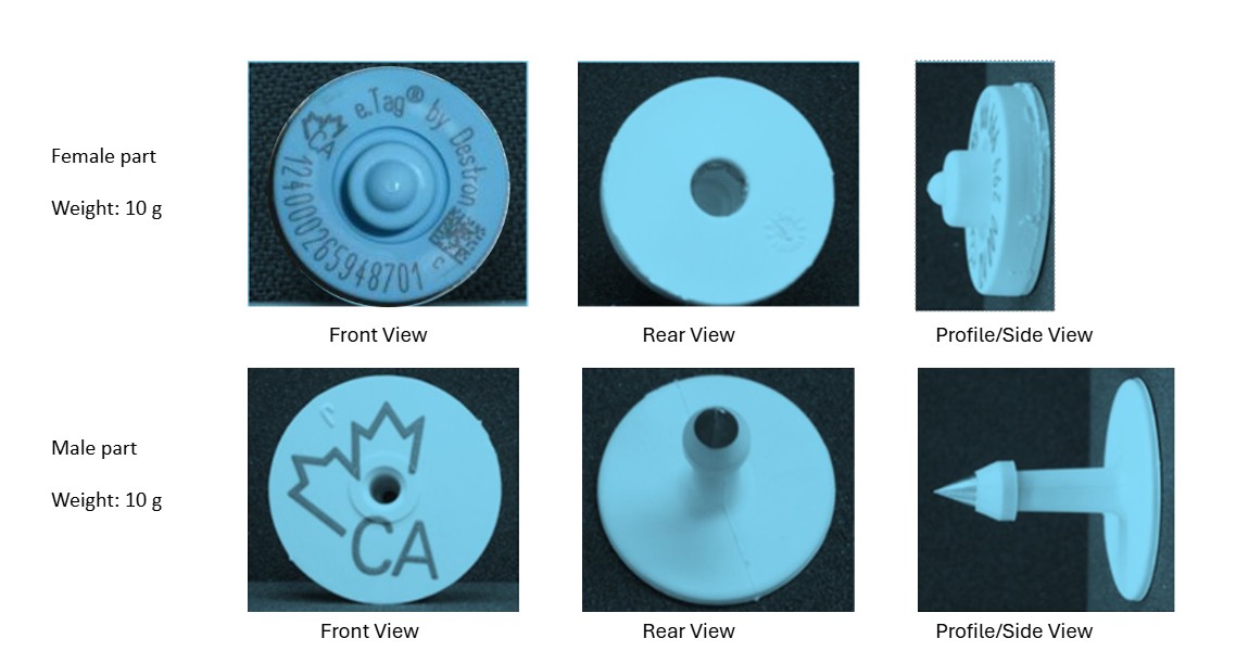Picture - CFIA code: BOV-02-01A. Description follows.