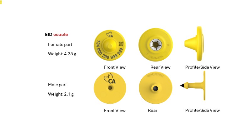 Picture - CFIA code: BOV-08-01C. Description follows.