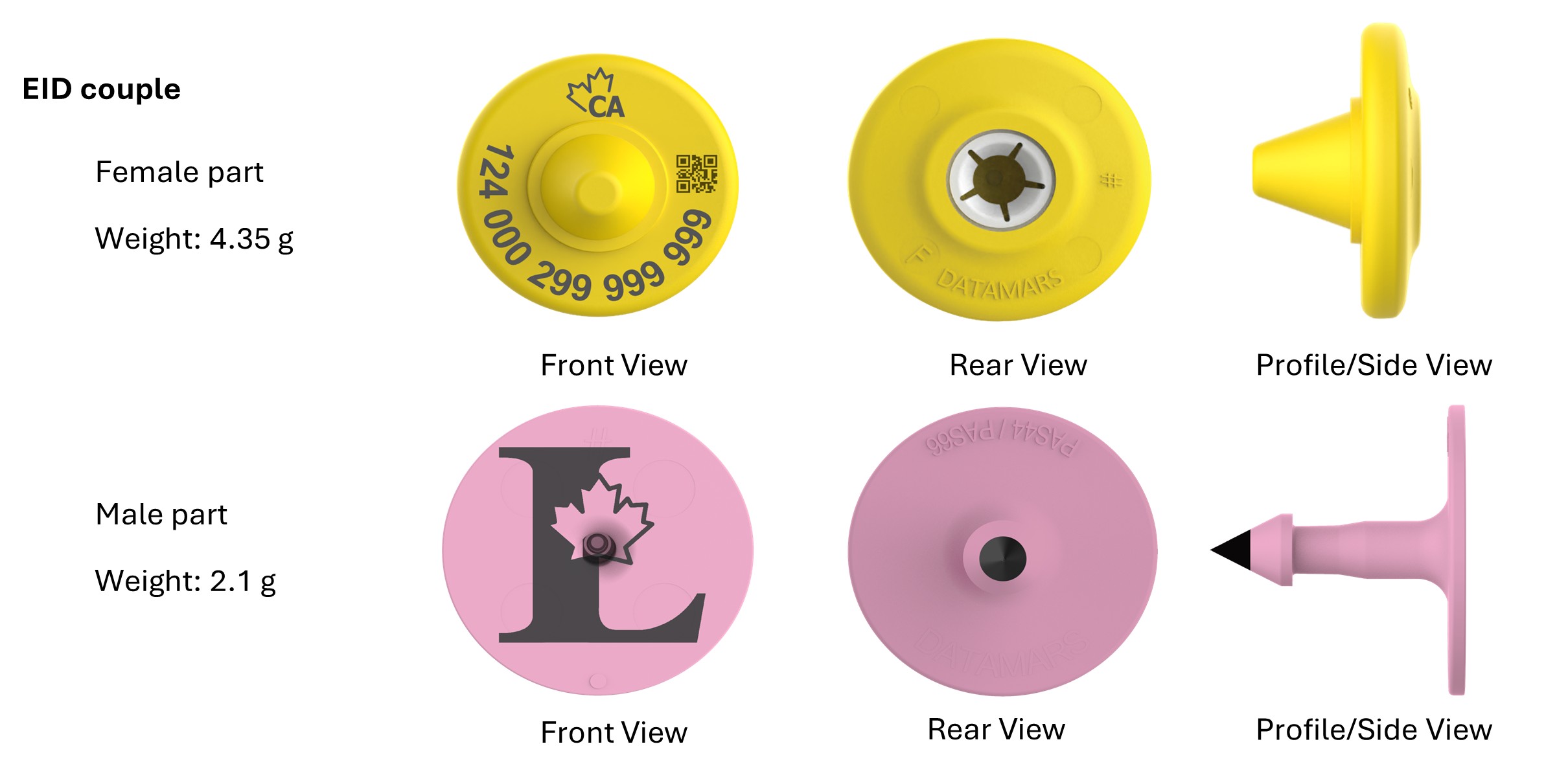 Picture - CFIA code: BOV-08-02A. Description follows.