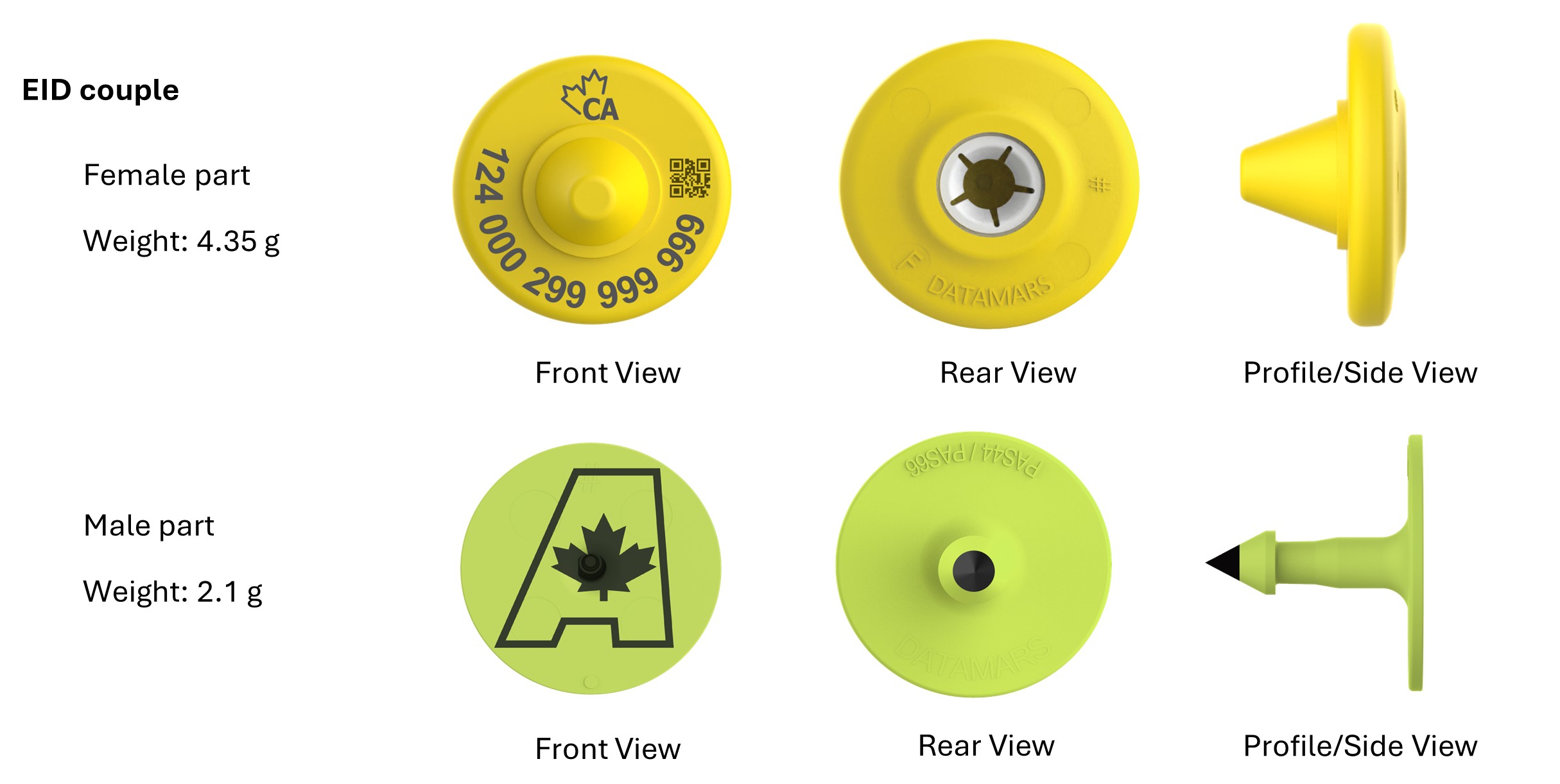 Picture - CFIA code: BOV-08-04A. Description follows.
