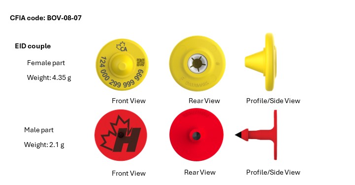 Picture - CFIA code: BOV-08-07. Description follows.