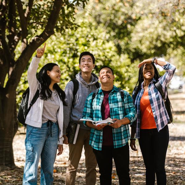 Photograph of four students looking up in the distance.