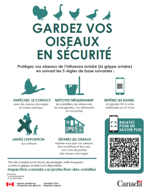 Gardez vos oiseaux en sécurité