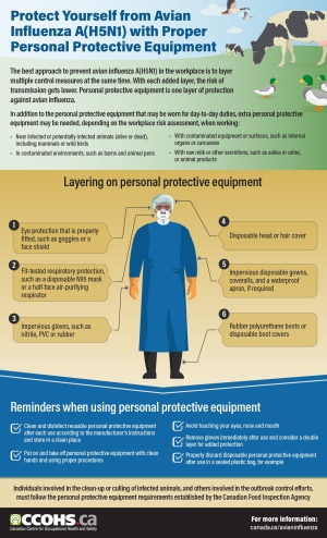 Personal protective equipment to be considered in certain working conditions.