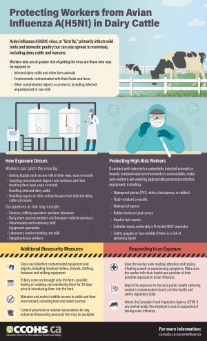 Protecting workers from AI, identifying exposure risks, self-protect, biosecurity, and response to an exposure